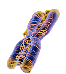 Gene Therapy Icon